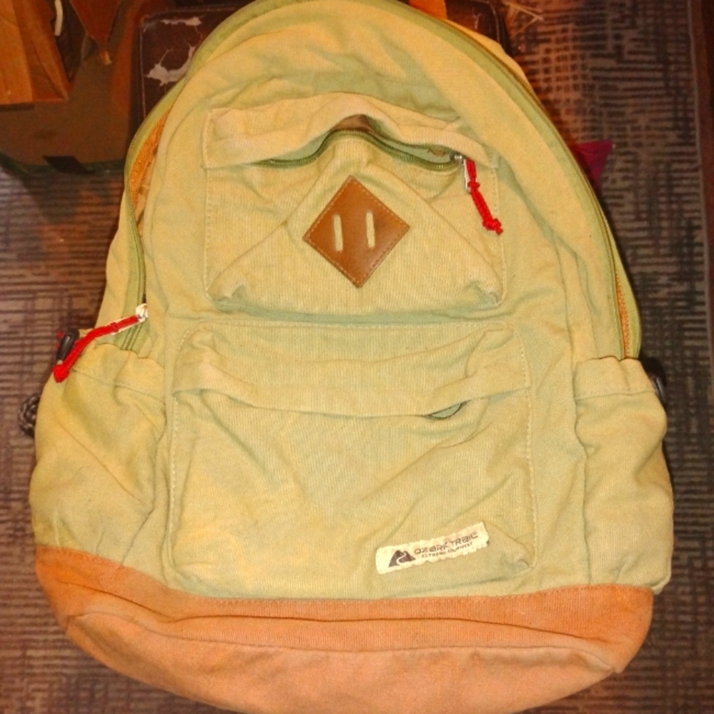 Green and Tan Backpack